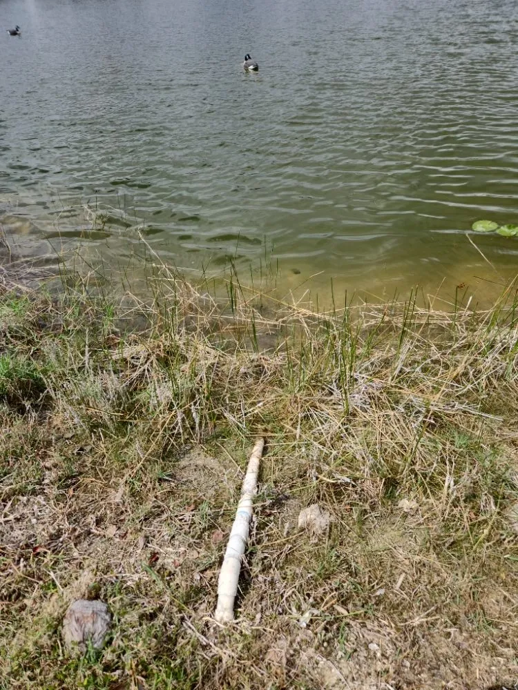 Professional yard maintenance experts serving Pompano Beach, FL - Always Right Lawn Care