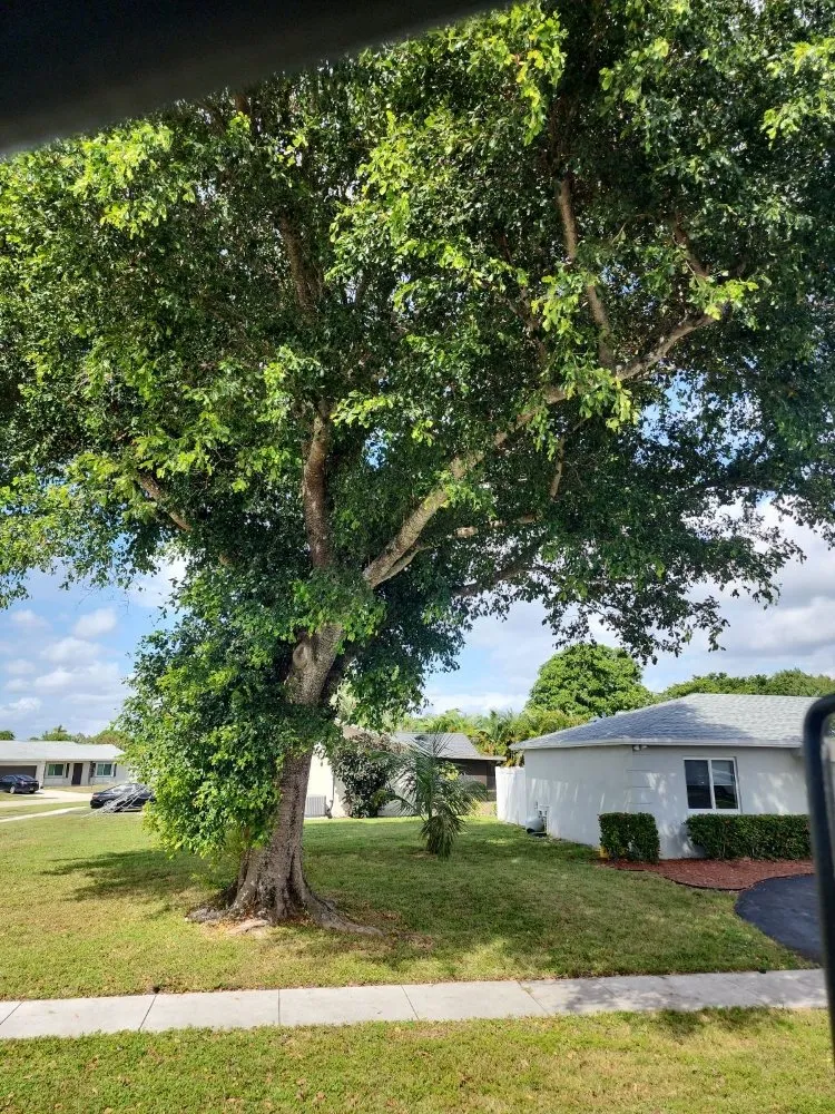 Trusted residential landscaping in Pompano Beach, FL by Always Right Lawn Care