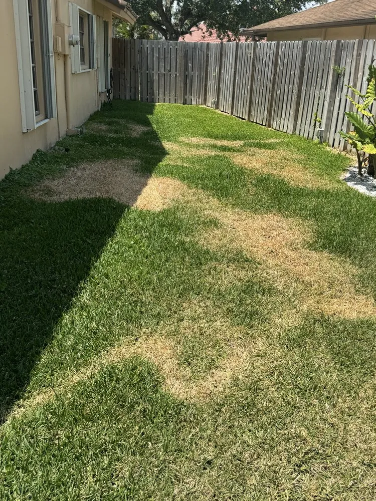 Affordable outdoor landscaping experts serving Pompano Beach, FL - Always Right Lawn Care