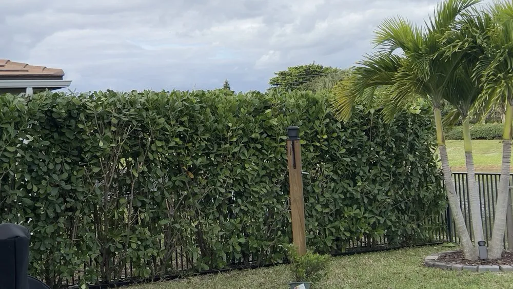 Affordable landscape design for year-round maintenance across Pompano Beach, FL - Always Right Lawn Care