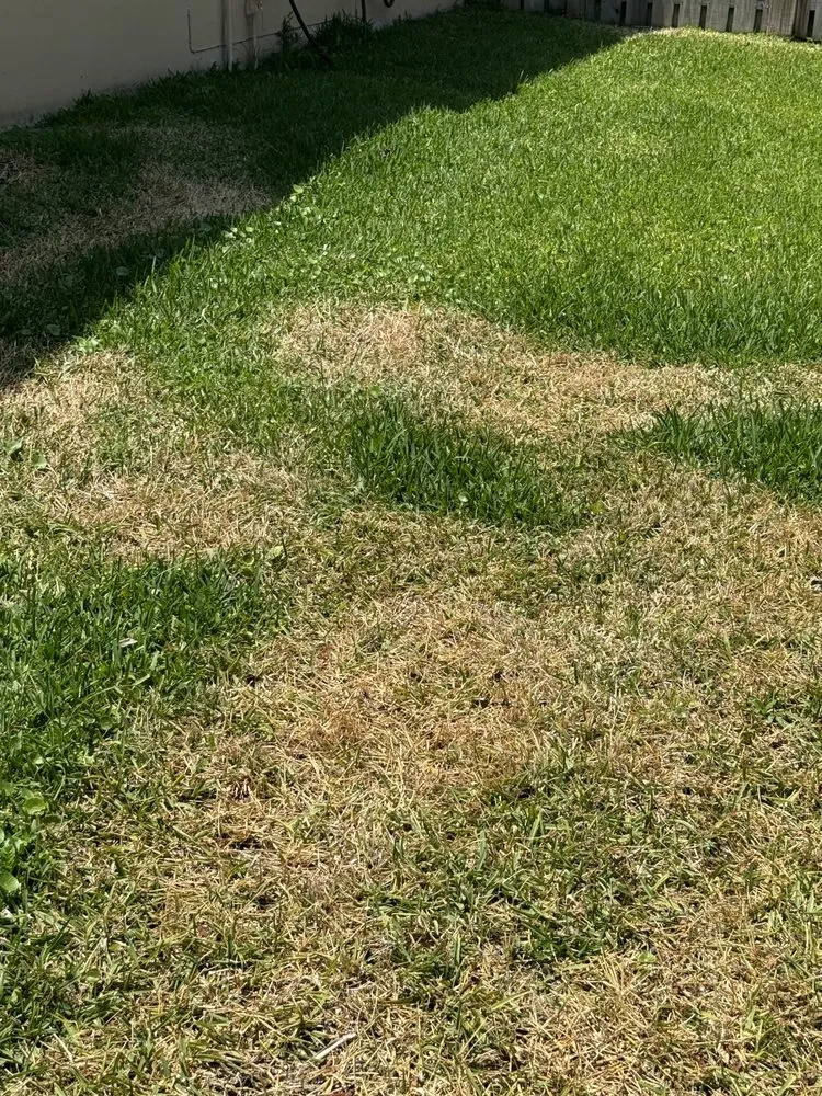 Custom yard cleanup service experts serving Pompano Beach, FL - Always Right Lawn Care