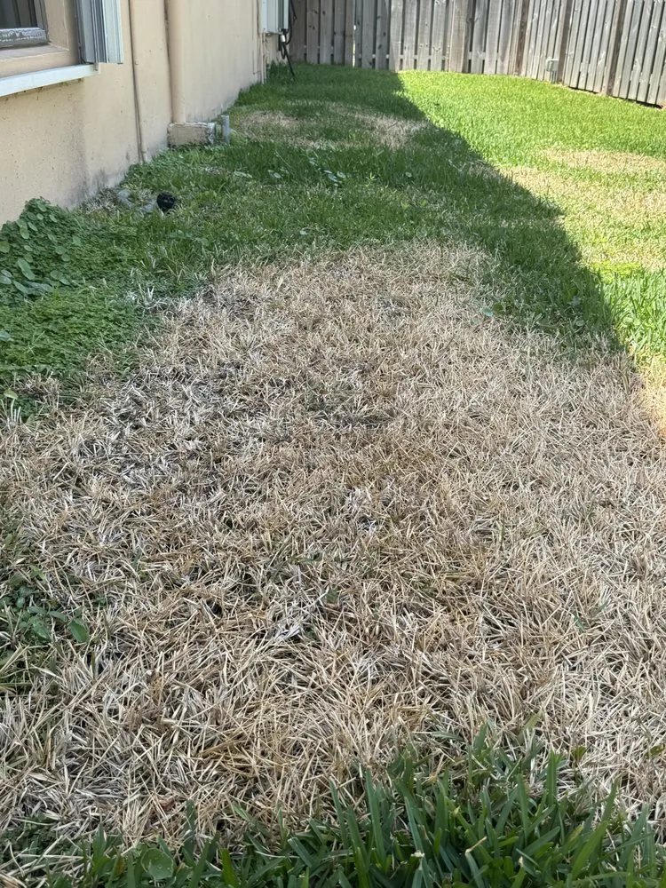 Top-rated lawn care service for outdoor upgrades across Pompano Beach, FL - Always Right Lawn Care