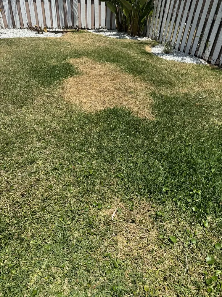 Local landscape installation in Pompano Beach, FL - Always Right Lawn Care