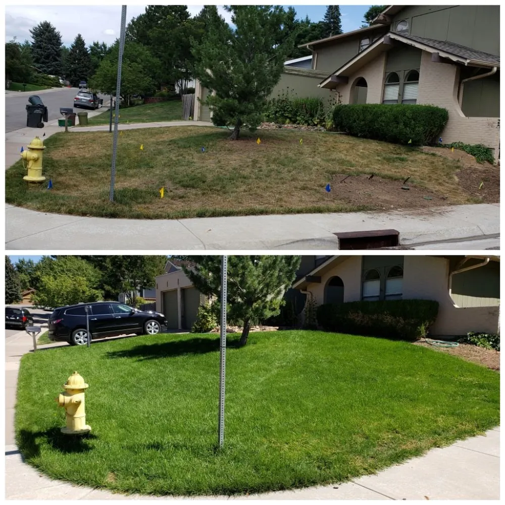 Local yard cleanup service experts serving Littleton, CO - Always There Irrigation