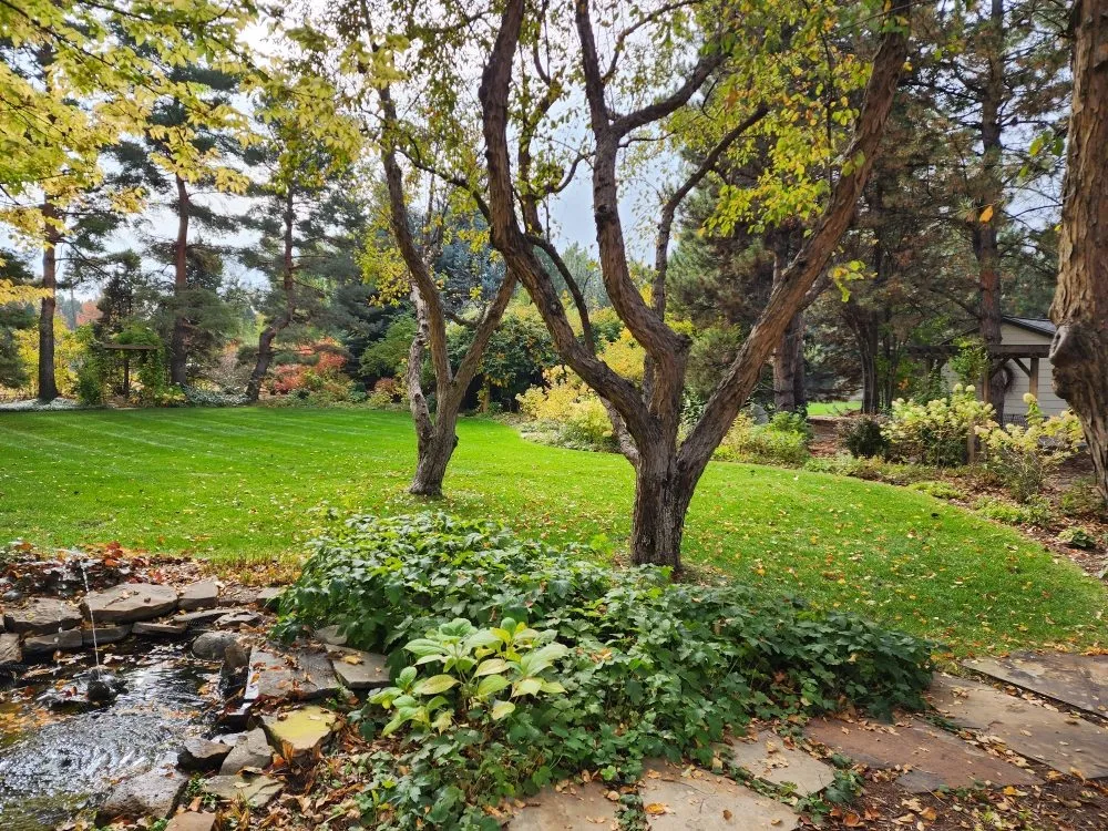 Expert lawn care service for beautiful yards across Littleton, CO - Always There Irrigation