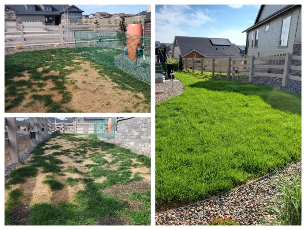 Custom landscaping services for homes across Littleton, CO - Always There Irrigation