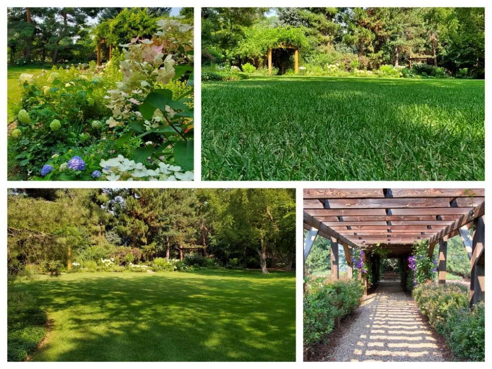 Reliable landscaping services for outdoor upgrades in Littleton, CO by Always There Irrigation