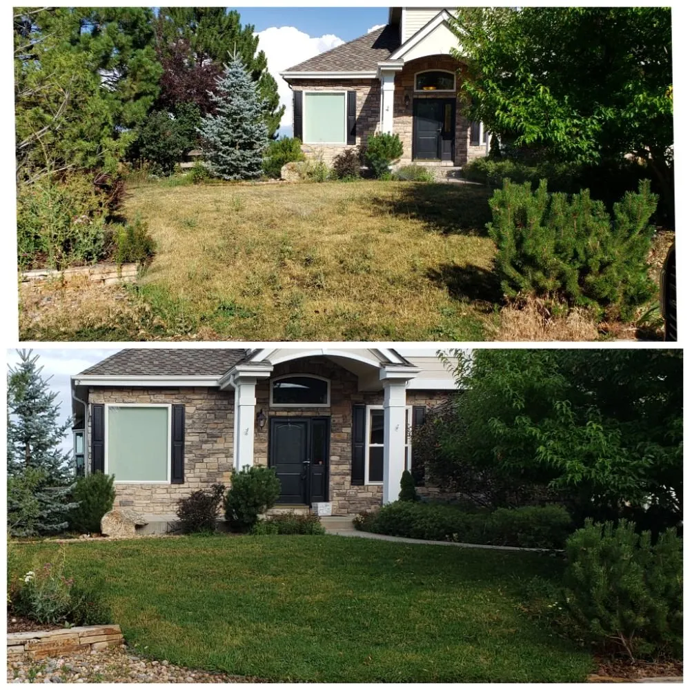 Professional lawn mowing service in Littleton, CO - Always There Irrigation