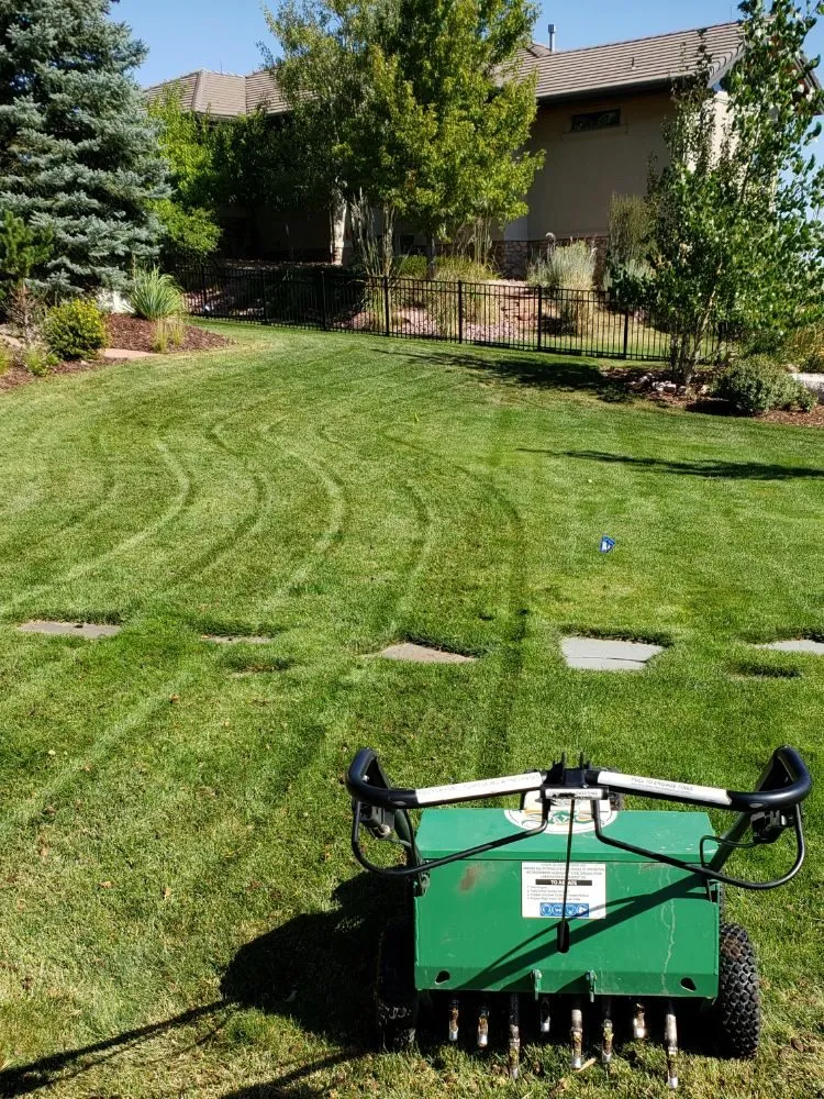 Professional lawn mowing service for residential properties in Littleton, CO by Always There Irrigation