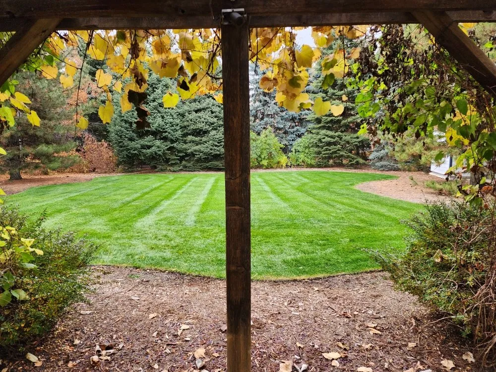 Reliable landscape installation with custom design in Littleton, CO by Always There Irrigation