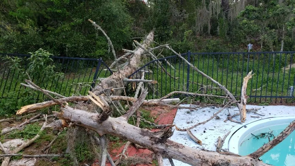 Custom garden landscaping in New Port Richey, FL by Always There Lawn Care