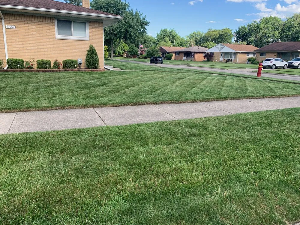 Custom yard cleanup service in Roseville, MI - Always There Lawn Care
