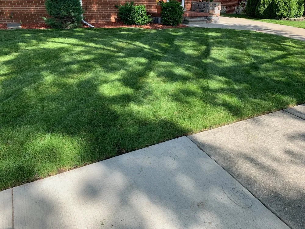 Expert landscaping services with custom design in Roseville, MI by Always There Lawn Care