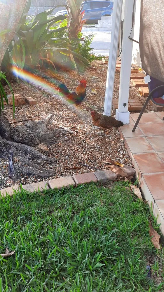 Expert garden landscaping near you in Crawfordville, FL by Always True Landscaping and Horticulture Specialists