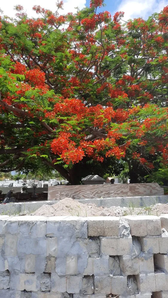 Professional lawn care service in Crawfordville, FL - Always True Landscaping and Horticulture Specialists