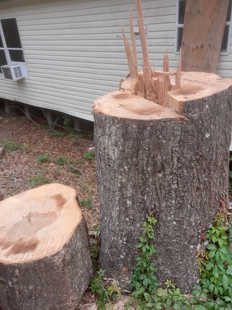 Top-rated landscaping services for outdoor upgrades in Crawfordville, FL by Always True Landscaping and Horticulture Specialists