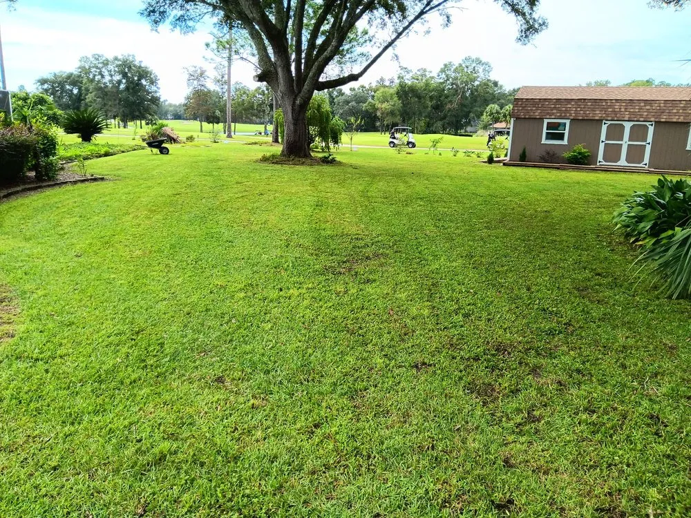 Expert garden landscaping for year-round maintenance in Crawfordville, FL by Always True Landscaping and Horticulture Specialists