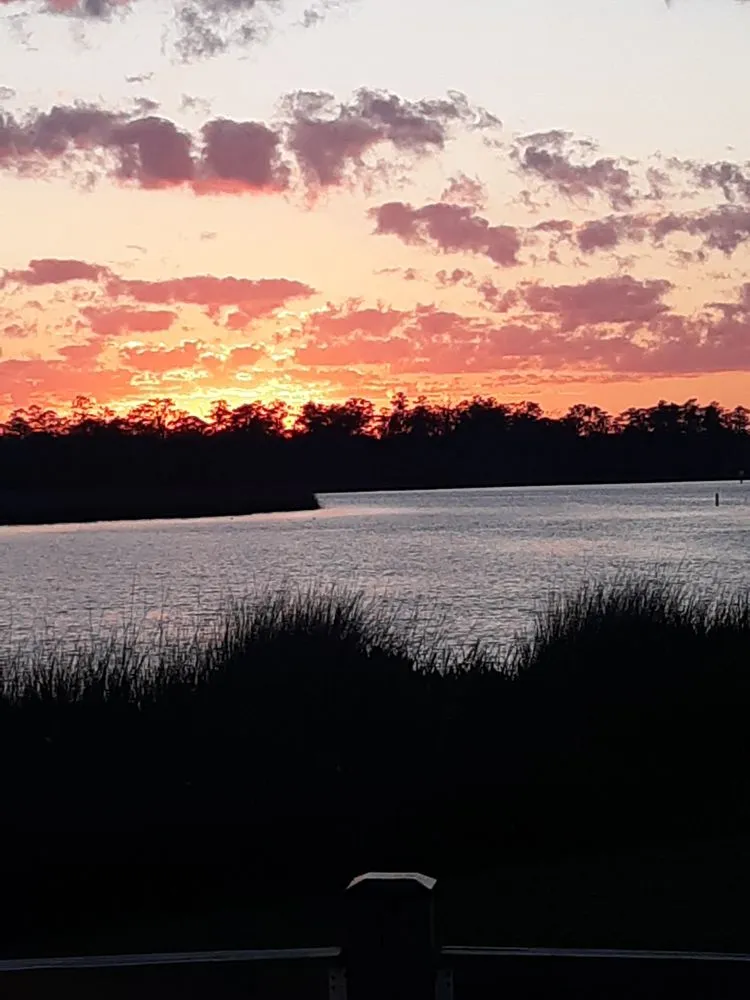 Local landscaping services in Crawfordville, FL by Always True Landscaping and Horticulture Specialists