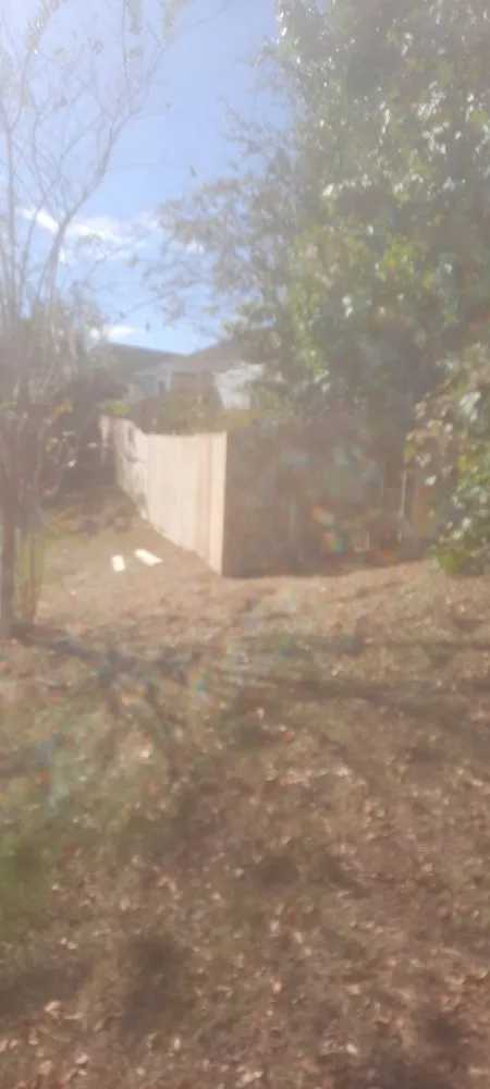 Affordable yard maintenance with custom design in Crawfordville, FL by Always True Landscaping and Horticulture Specialists