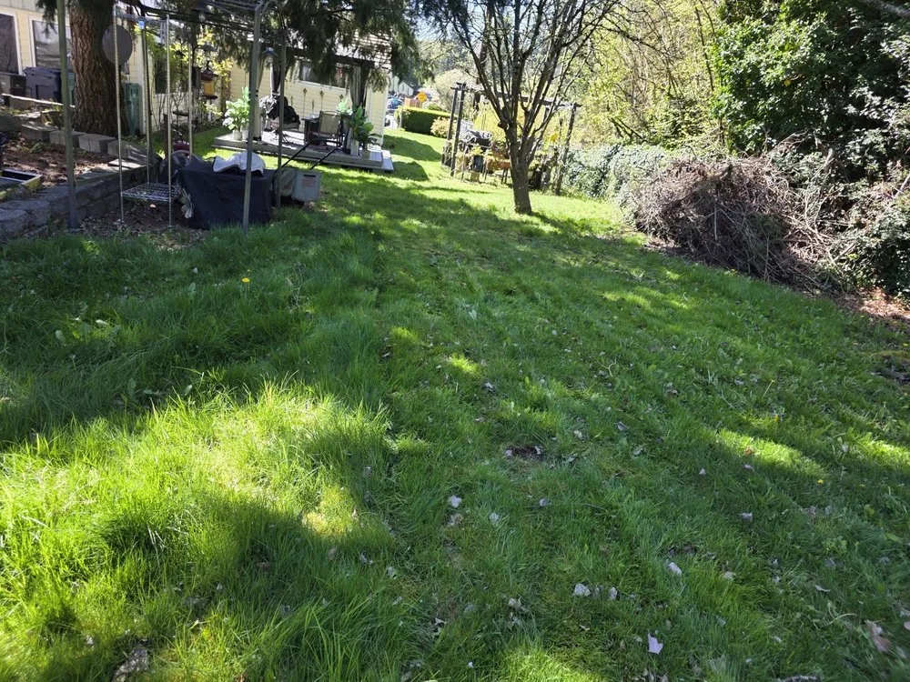 Top-rated landscaping services in Mountlake Terrace, WA - Alwright Logistics