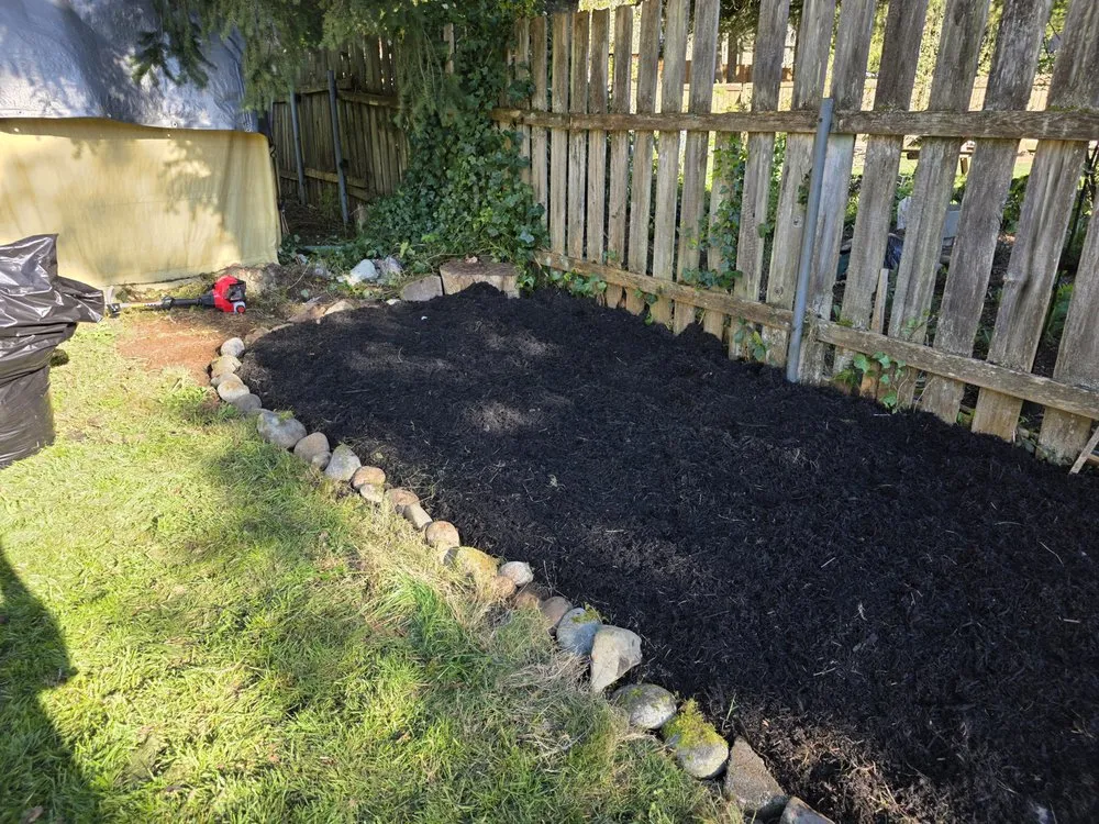 Reliable yard cleanup service in Mountlake Terrace, WA by Alwright Logistics