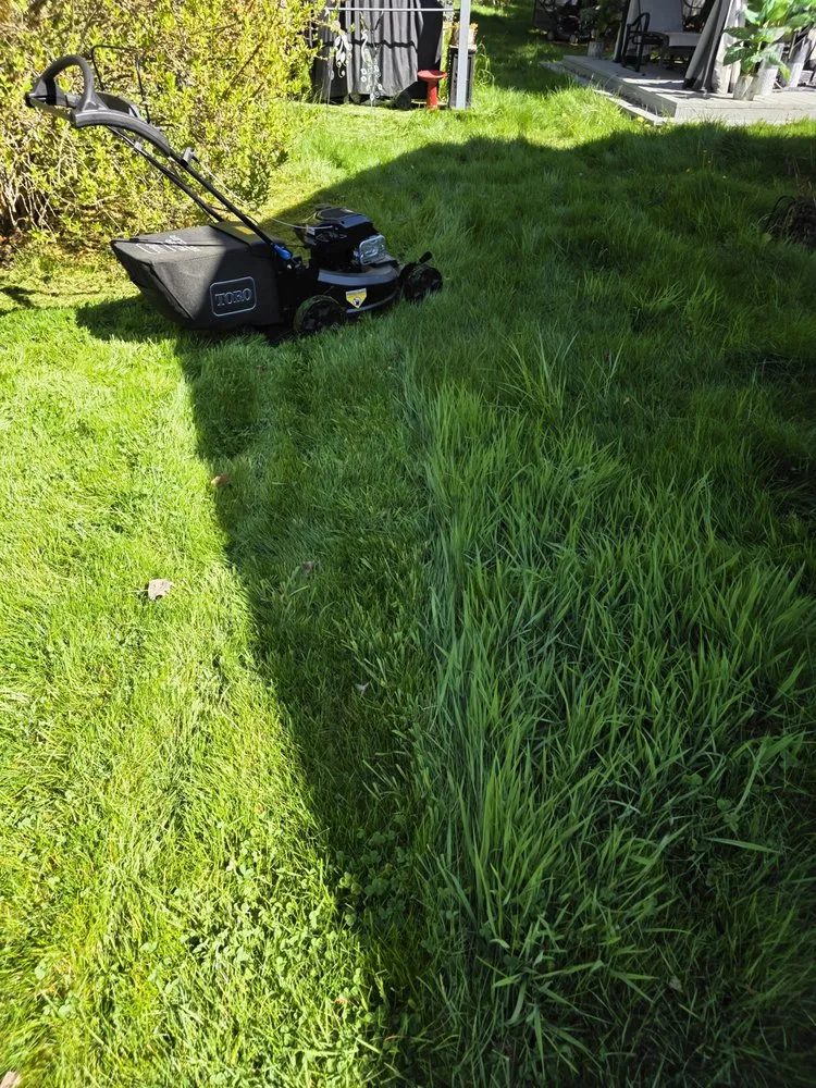 Trusted yard maintenance in Mountlake Terrace, WA by Alwright Logistics