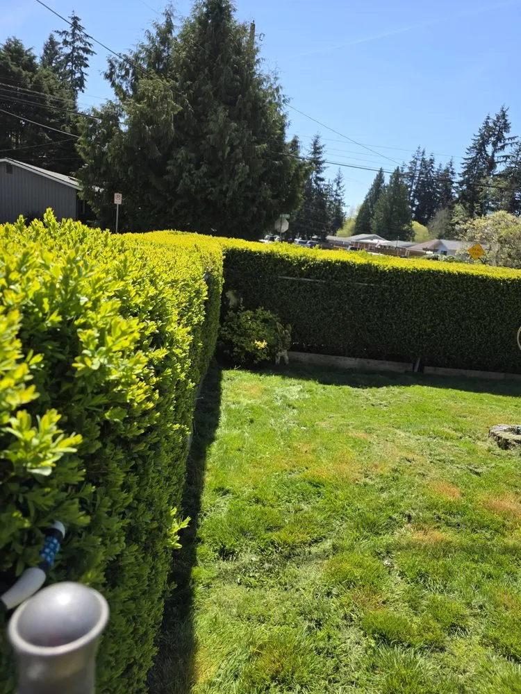 Affordable garden landscaping experts serving Mountlake Terrace, WA - Alwright Logistics