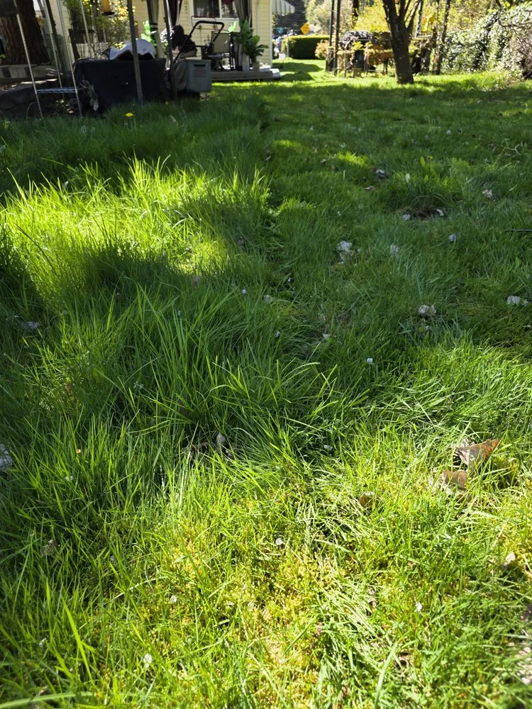 Professional yard maintenance in Mountlake Terrace, WA - Alwright Logistics