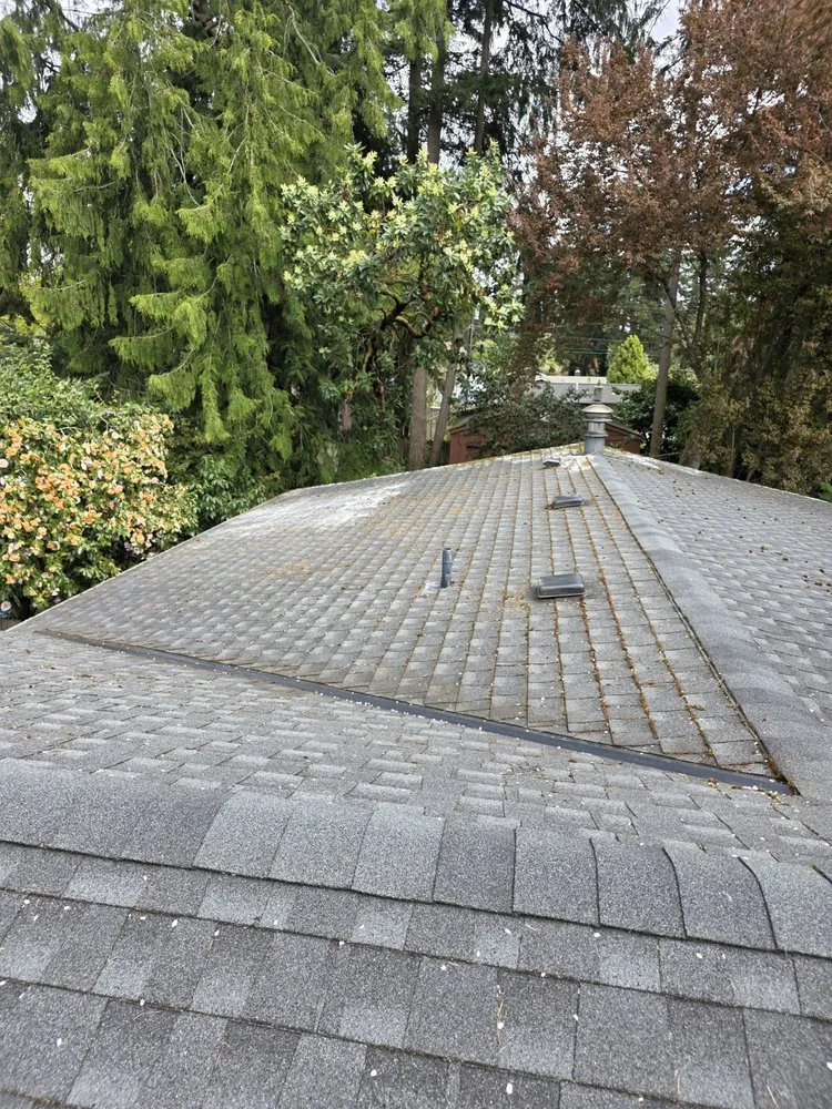 Professional garden landscaping in Mountlake Terrace, WA by Alwright Logistics