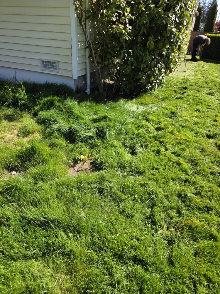 Custom landscaping services in Mountlake Terrace, WA by Alwright Logistics