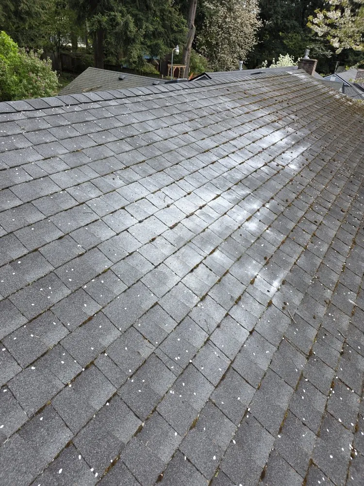 Expert landscape installation in Mountlake Terrace, WA by Alwright Logistics