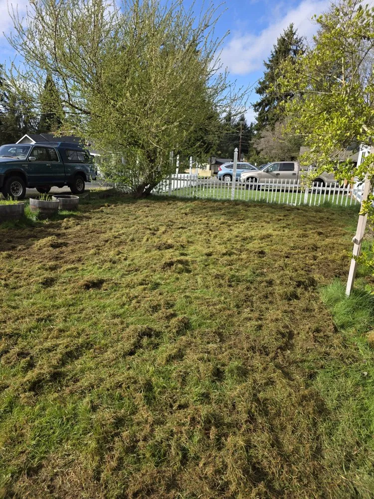 Expert lawn care service for year-round maintenance in Mountlake Terrace, WA by Alwright Logistics