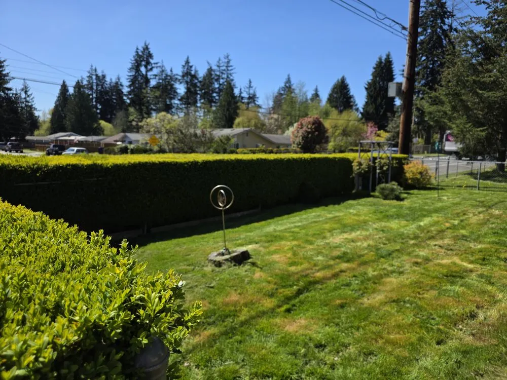 Top-rated landscape design in Mountlake Terrace, WA by Alwright Logistics