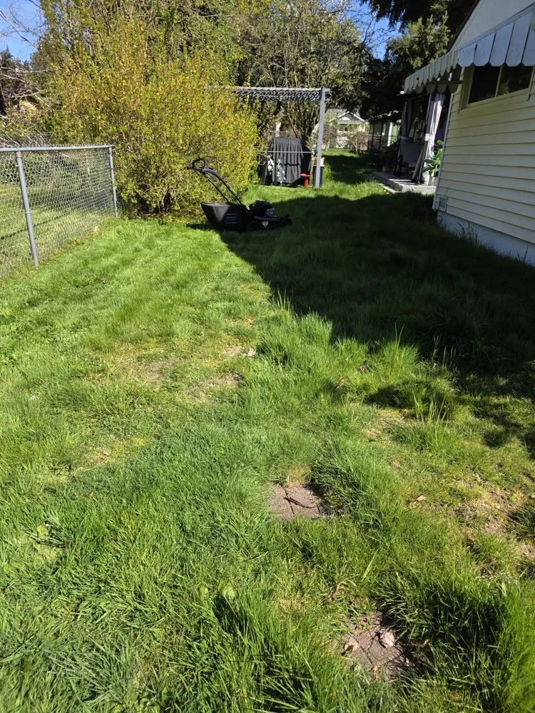 Trusted landscaping services experts serving Mountlake Terrace, WA - Alwright Logistics