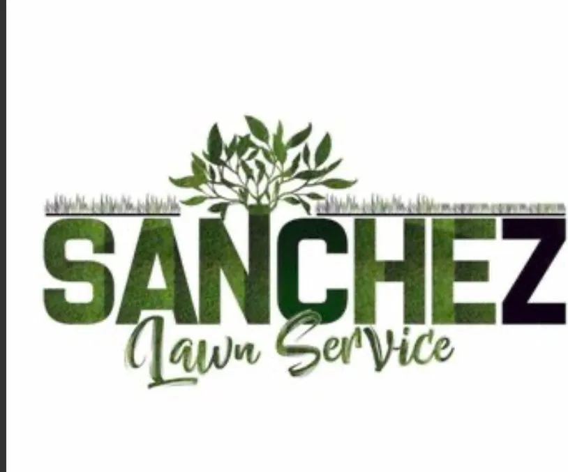 Professional outdoor landscaping experts serving Walnut Grove, KY - Aly Clean