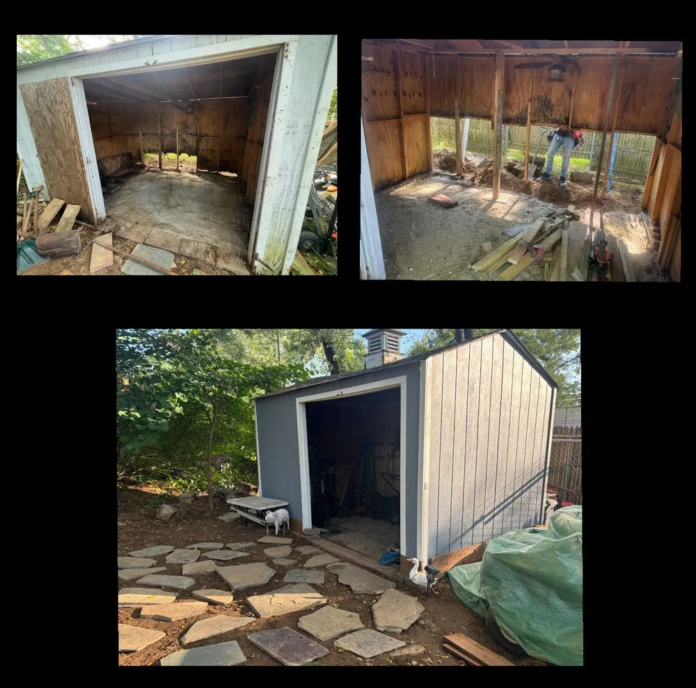 Professional yard cleanup service in Washington, NJ - Alyjestic