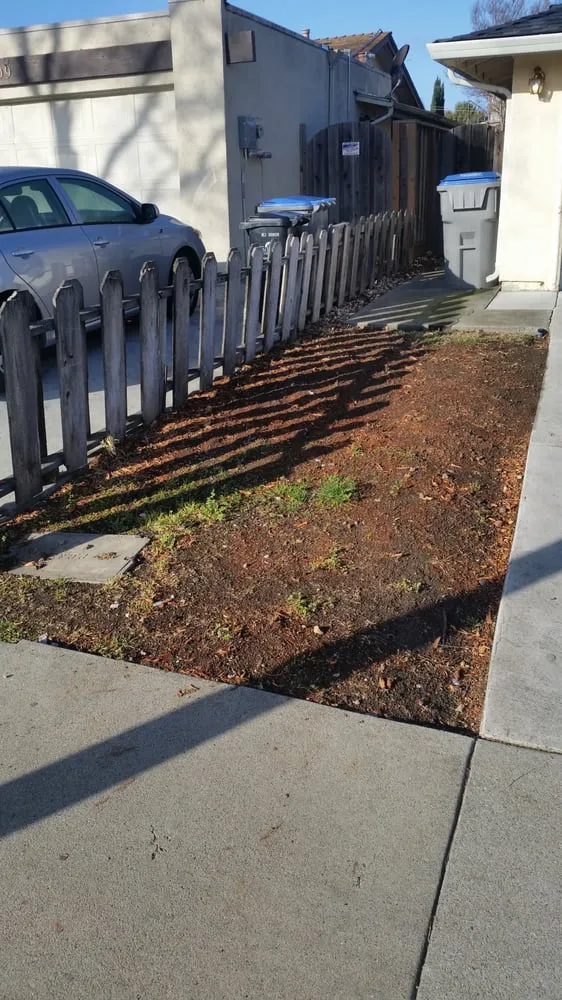 Trusted residential landscaping experts serving San Jose, CA - Aly's Tree Trimming & Yard Clean-Up