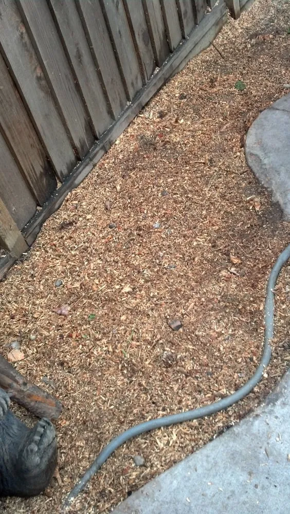 Reliable landscaping services in San Jose, CA by Aly's Tree Trimming & Yard Clean-Up