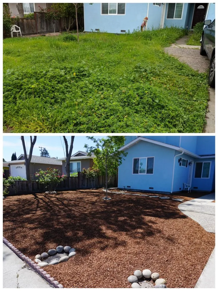 Professional outdoor landscaping in San Jose, CA - Aly's Tree Trimming & Yard Clean-Up