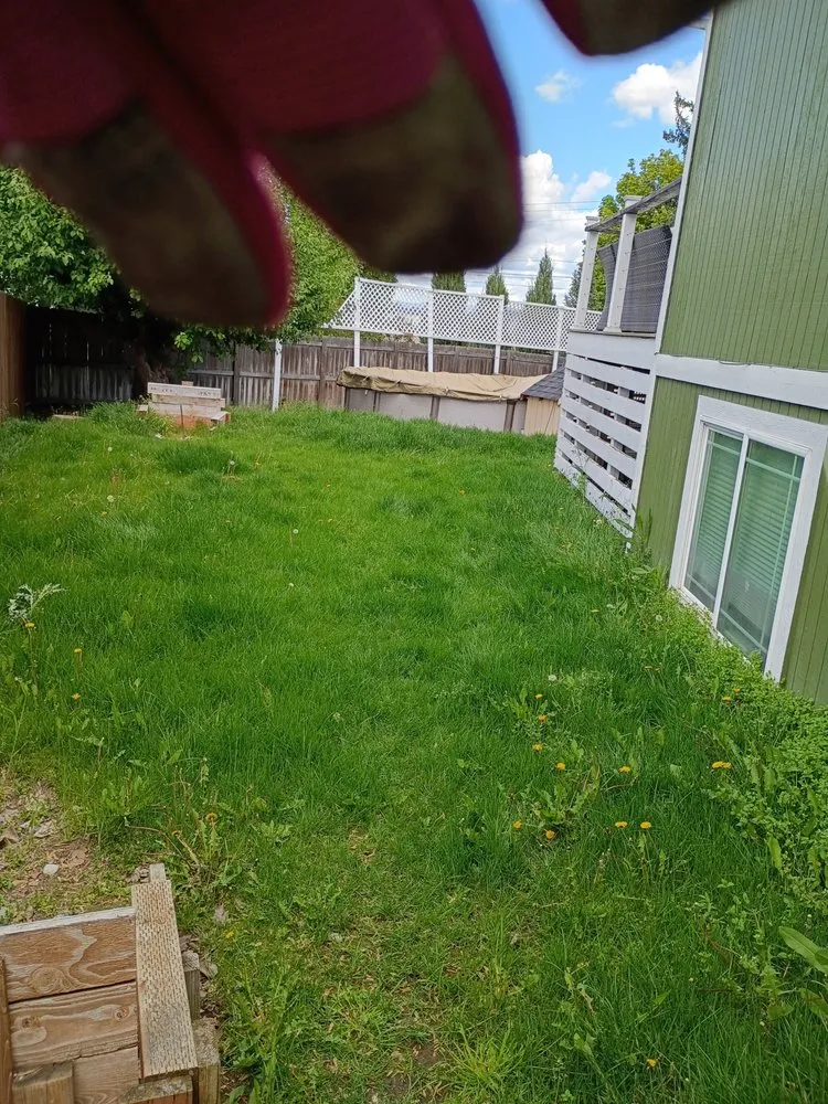 Custom landscape installation in Spokane Valley, WA - Alysia's Lawn and Gardening Service