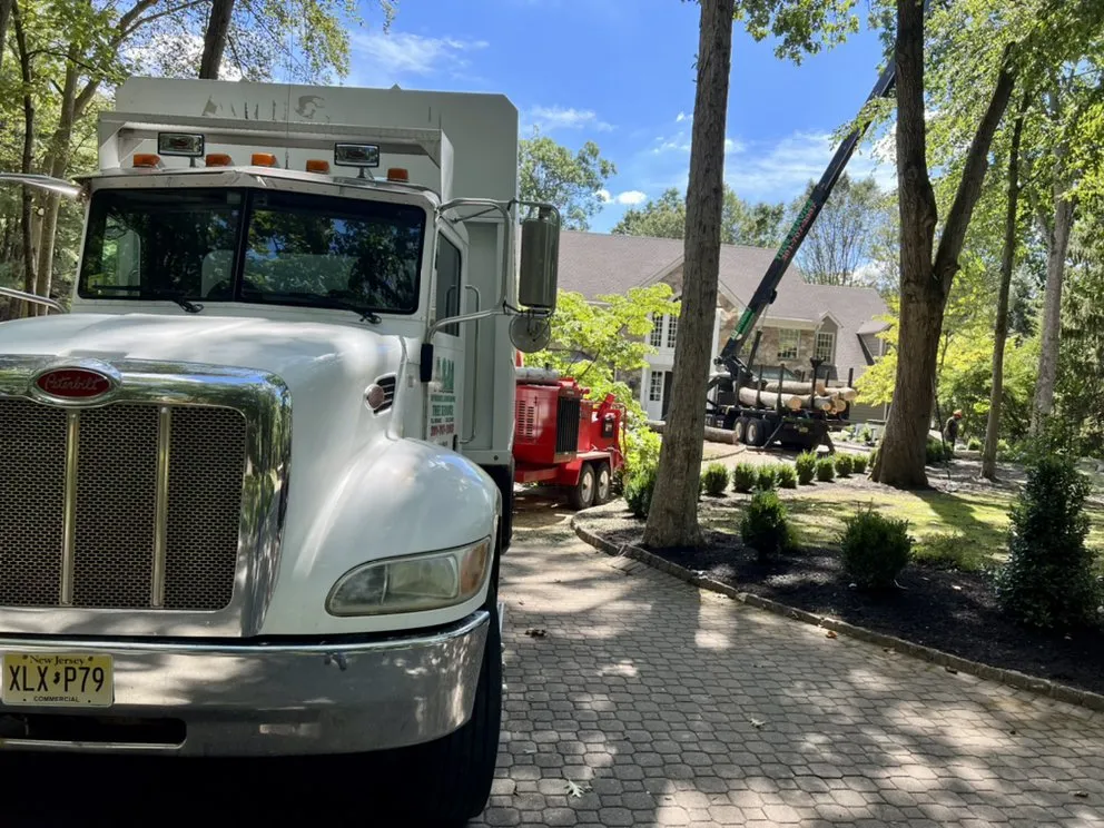 Reliable residential landscaping experts serving Woodland Park, NJ - A&M Affordable Tree Service