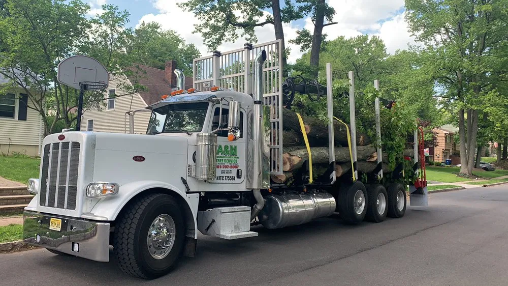 Local landscape installation experts serving Woodland Park, NJ - A&M Affordable Tree Service