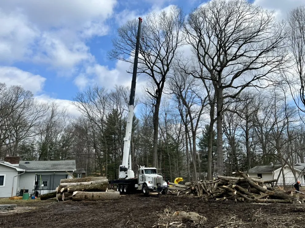 Custom landscape design for beautiful yards across Woodland Park, NJ - A&M Affordable Tree Service