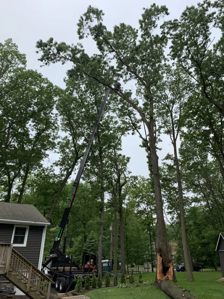 Reliable garden landscaping in Woodland Park, NJ by A&M Affordable Tree Service