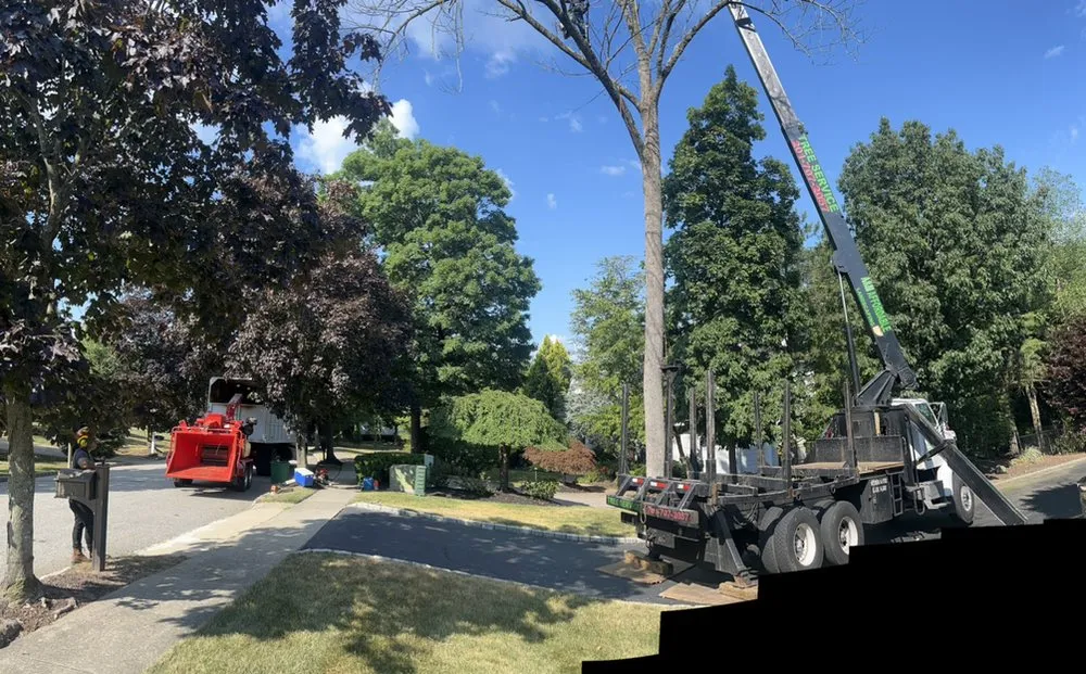 Trusted yard maintenance for homes across Woodland Park, NJ - A&M Affordable Tree Service
