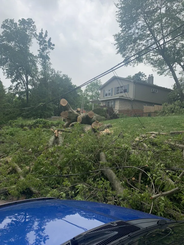 Trusted outdoor landscaping near you in Woodland Park, NJ by A&M Affordable Tree Service