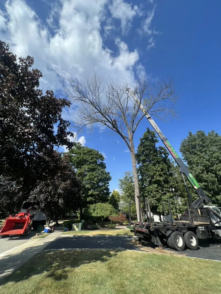 Reliable lawn mowing service in Woodland Park, NJ - A&M Affordable Tree Service