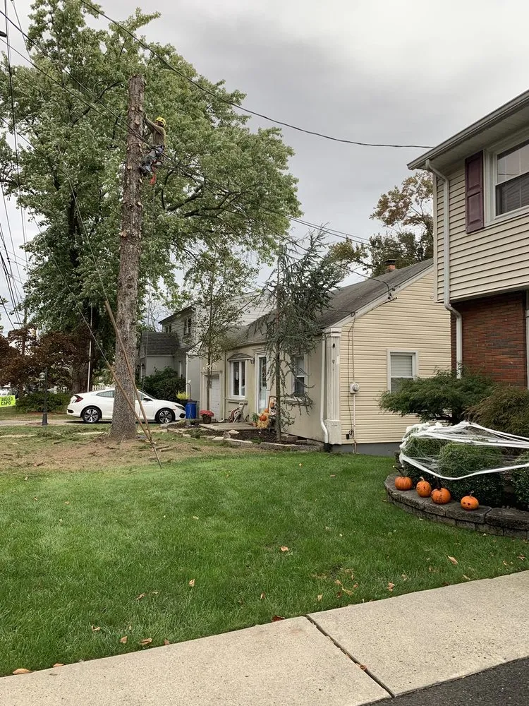 Custom garden landscaping in Woodland Park, NJ by A&M Affordable Tree Service