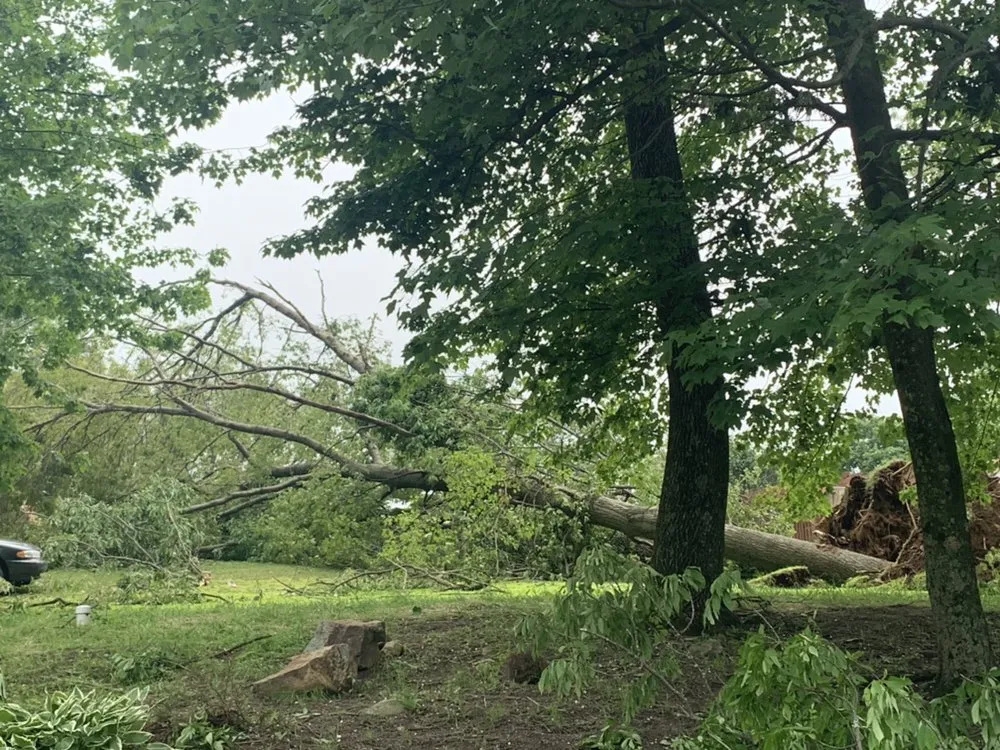 Custom lawn care service in Woodland Park, NJ - A&M Affordable Tree Service