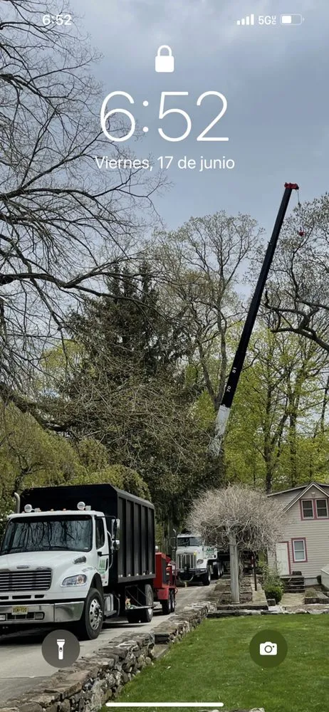 Affordable lawn mowing service experts serving Woodland Park, NJ - A&M Affordable Tree Service